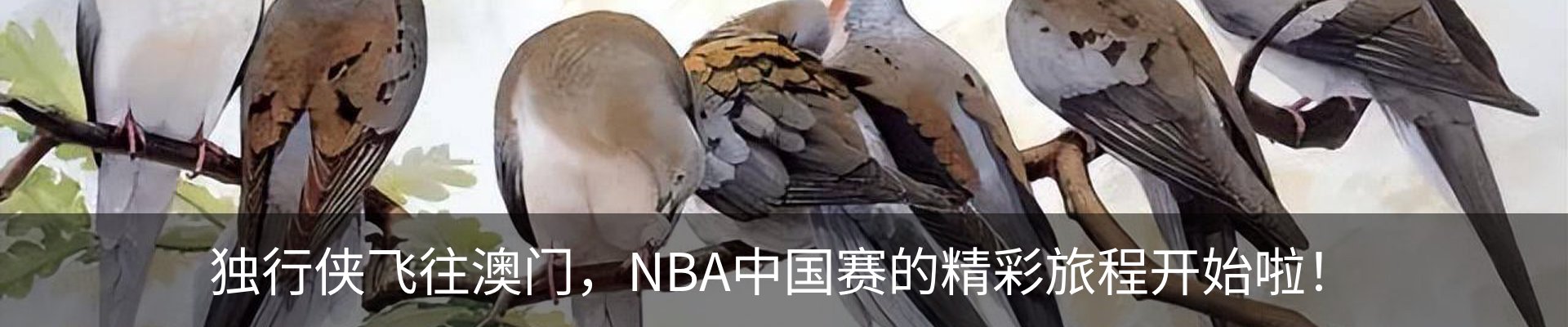 内页banner